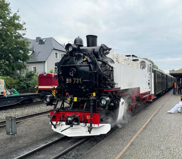 Zurüstset weiße VIIk